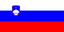 Prepaid travel eSIM data coverage for Slovenia 500MB/Day - ConnectMeGuru